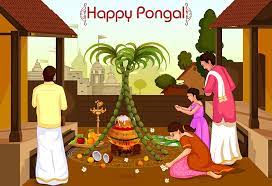 Pongal celebration 2023